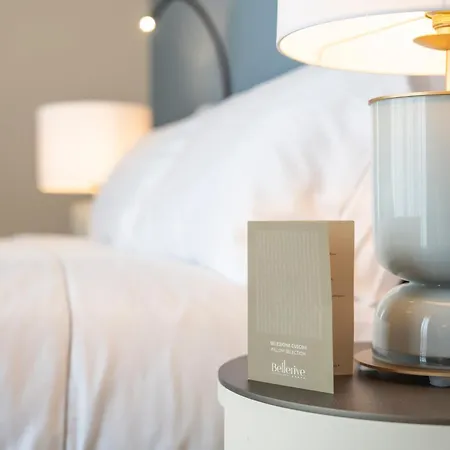 Hotel Bellerive 5*